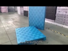 As páletes plásticas em dois sentidos do armazenamento frio da entrada da espuma do PPE escolhem enfrentado