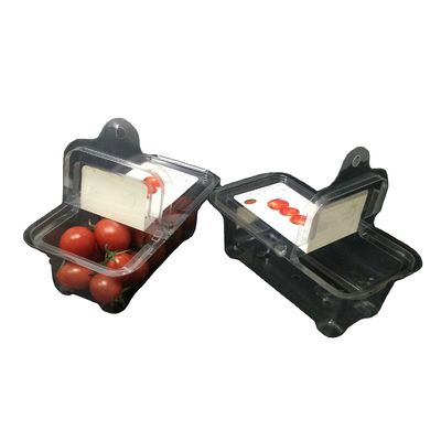 Frescor dos recipientes plásticos da parte superior das caixas do empacotamento plástico do ANIMAL DE ESTIMAÇÃO visível