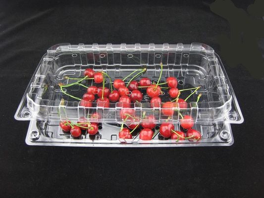Caixas plásticas claras descartáveis amigáveis 500g do empacotamento plástico da bolha de Eco