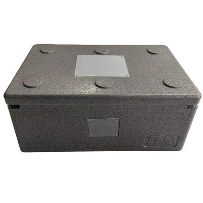 Do refrigerador reciclável amigável do PPE da caixa do PPE do ODM Eco do OEM isolação térmica