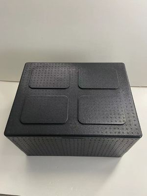 As caixas amigáveis do PPE do alimento do gelo de Eco isolaram para a distribuição alimentar