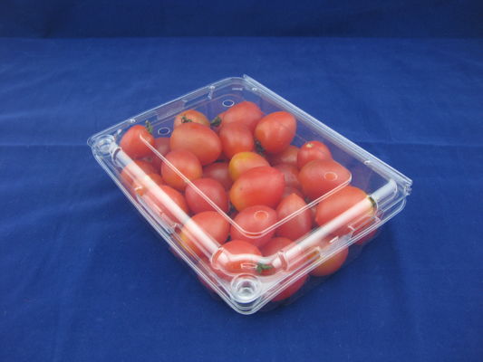 Caixas plásticas claras descartáveis amigáveis 500g do empacotamento plástico da bolha de Eco