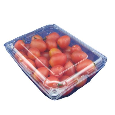 O ANIMAL DE ESTIMAÇÃO descartável amigável de Eco frutifica OEM das caixas do empacotamento plástico