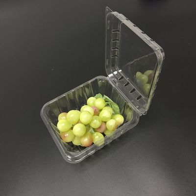 O ANIMAL DE ESTIMAÇÃO descartável amigável de Eco frutifica OEM das caixas do empacotamento plástico