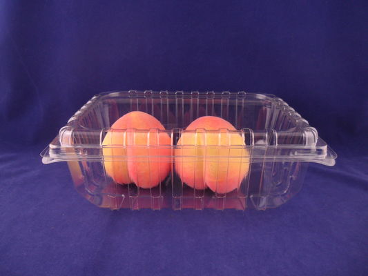 O empacotamento plástico da morango encaixota recipientes da parte superior do ANIMAL DE ESTIMAÇÃO